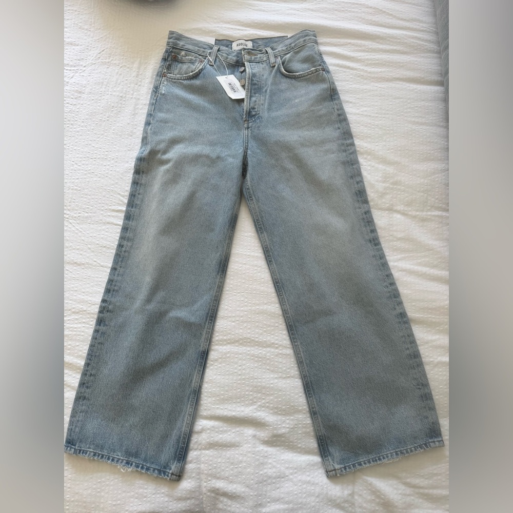 NWT AGOLDE Ren high rise wide leg jean